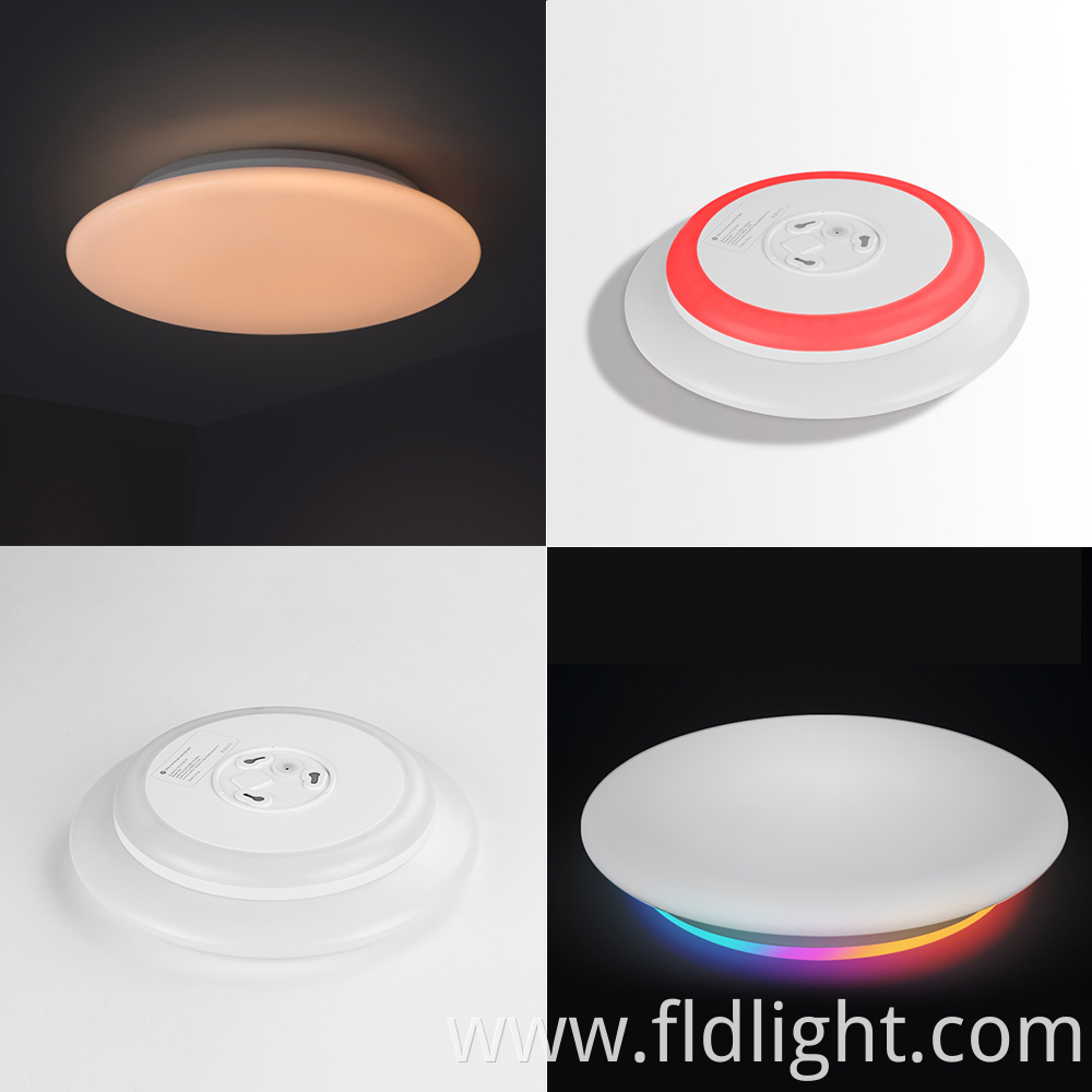 Minimalist Dimmable Color surface mounted Ceiling Lamp 